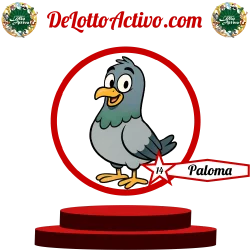 paloma Lotto Activo