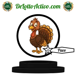 pavo Lotto Activo