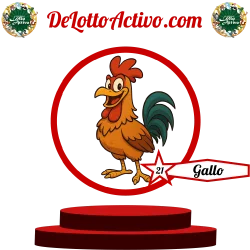gallo Lotto Activo