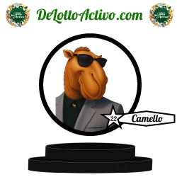 camello Lotto Activo