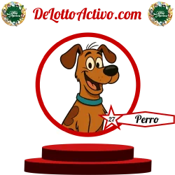 perro Lotto Activo